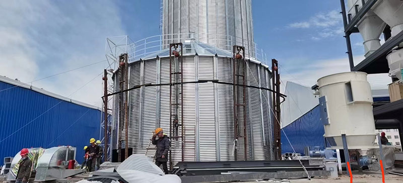SZLH420 feed pellet line installation site
