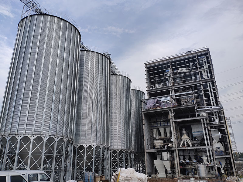 8 t/h SZLH420 poultry feed line case